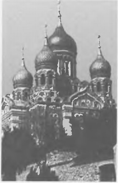 Храм Александра Невского в Вышгороде