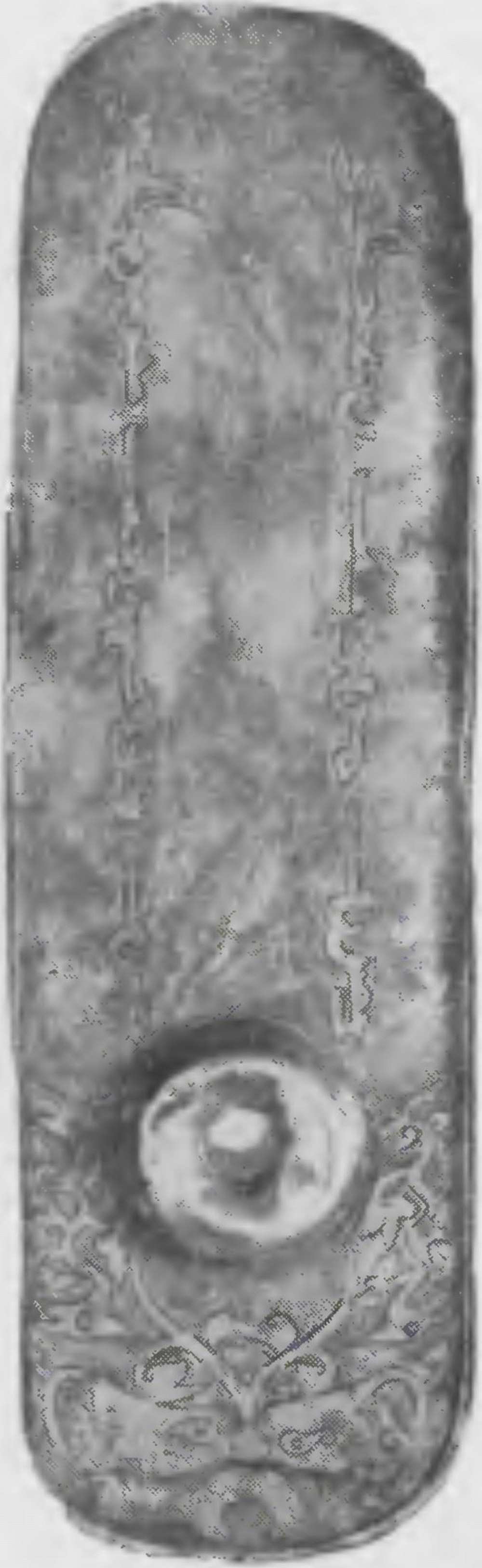 Рис 22. Пайцза серебряная Абдулла-хана (1362—1366) лицевая сторона. Эрмитаж