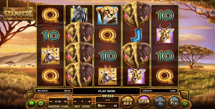 Игровой онлайн автомат «Stampede» в казино Вулкан Платинум